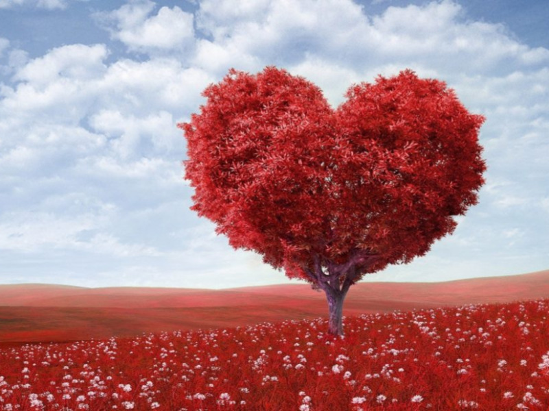 Menu Saint Valentin Menu Saint Valentin